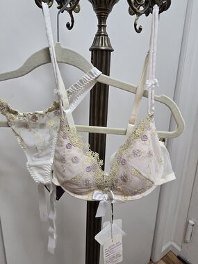 Delicate Embroidered Lace Push-Up Bra in Ivory with Lilac Accents